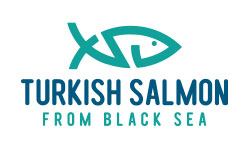 turkish-salmon